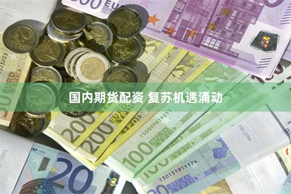 国内期货配资 复苏机遇涌动