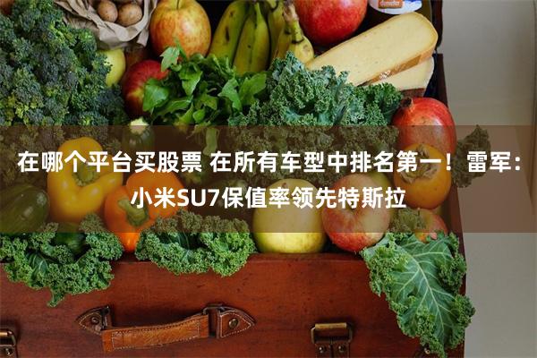 在哪个平台买股票 在所有车型中排名第一！雷军：小米SU7保值率领先特斯拉