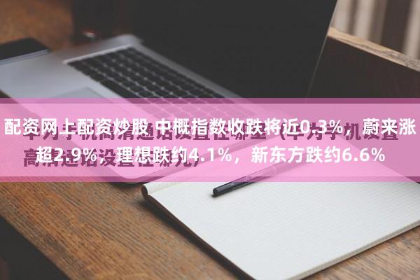 配资网上配资炒股 中概指数收跌将近0.3%，蔚来涨超2.9%，理想跌约4.1%，新东方跌约6.6%