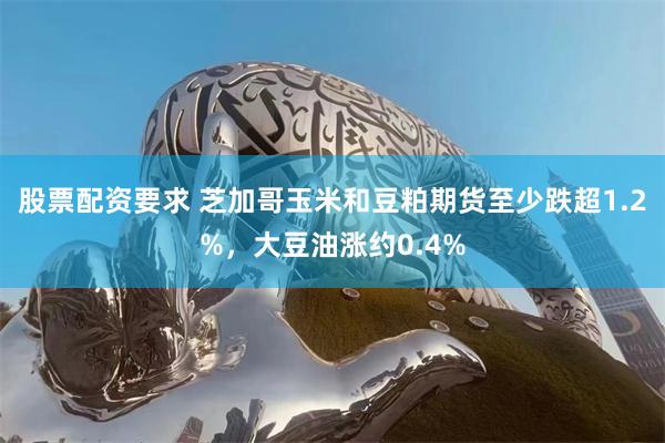 股票配资要求 芝加哥玉米和豆粕期货至少跌超1.2%，大豆油涨约0.4%