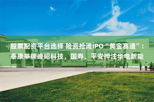 股票配资平台选择 险资抢滩IPO“黄金赛道”：泰康举牌峰岹科技，国寿、平安押注华电新能