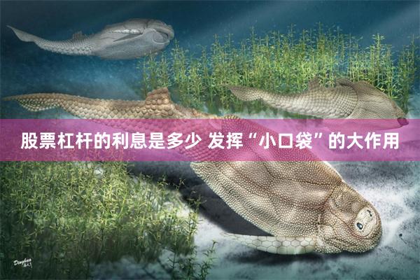股票杠杆的利息是多少 发挥“小口袋”的大作用