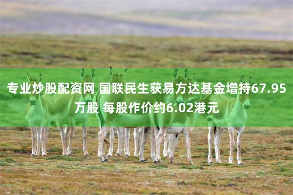 专业炒股配资网 国联民生获易方达基金增持67.95万股 每股作价约6.02港元
