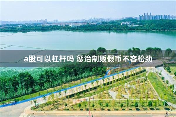 a股可以杠杆吗 惩治制贩假币不容松劲