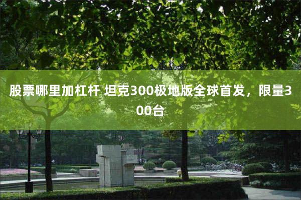 股票哪里加杠杆 坦克300极地版全球首发，限量300台