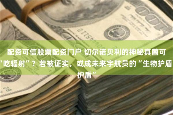 配资可信股票配资门户 切尔诺贝利的神秘真菌可“吃辐射”？若被证实，或成未来宇航员的“生物护盾”