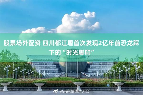 股票场外配资 四川都江堰首次发现2亿年前恐龙踩下的“时光脚印”