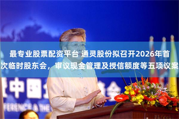 最专业股票配资平台 通灵股份拟召开2026年首次临时股东会,审议现金管理及授信额度等五项议案