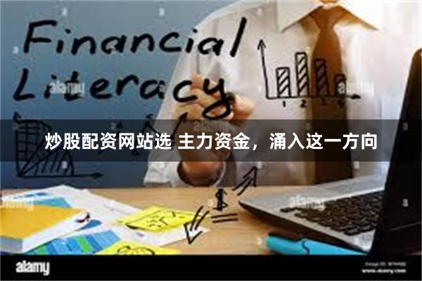 炒股配资网站选 主力资金，涌入这一方向