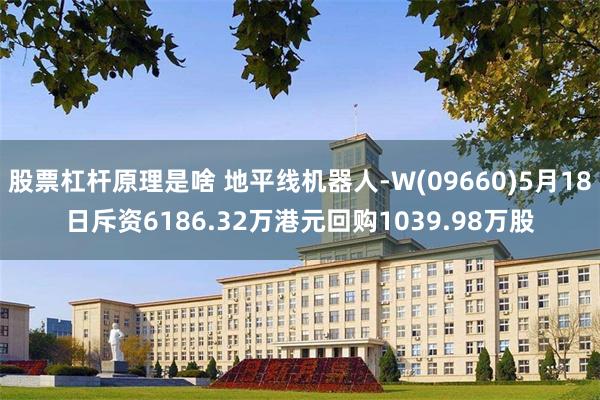 股票杠杆原理是啥 地平线机器人-W(09660)5月18日斥资6186.32万港元回购1039.98万股