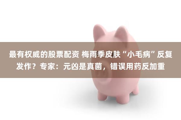 最有权威的股票配资 梅雨季皮肤“小毛病”反复发作？专家：元凶是真菌，错误用药反加重