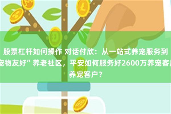 股票杠杆如何操作 对话付欣：从一站式养宠服务到“宠物友好”养老社区，平安如何服务好2600万养宠客户？