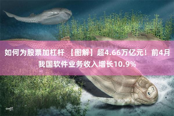 如何为股票加杠杆 【图解】超4.66万亿元！前4月我国软件业务收入增长10.9%