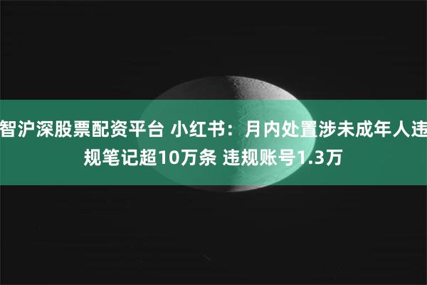 智沪深股票配资平台 小红书:月内处置涉未成年人违规笔记超10万条 违规账号1.3万