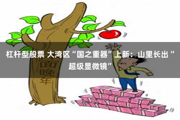 杠杆型股票 大湾区“国之重器”上新：山里长出“超级显微镜”