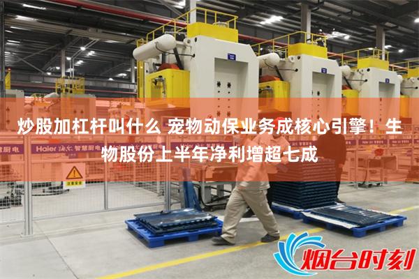 炒股加杠杆叫什么 宠物动保业务成核心引擎！生物股份上半年净利增超七成