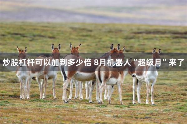 炒股杠杆可以加到多少倍 8月机器人“超级月”来了