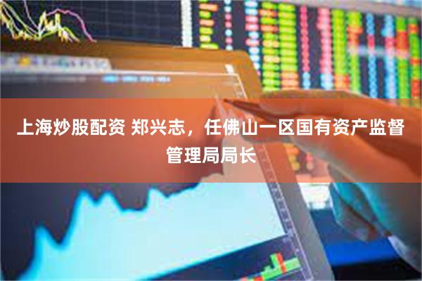 上海炒股配资 郑兴志，任佛山一区国有资产监督管理局局长